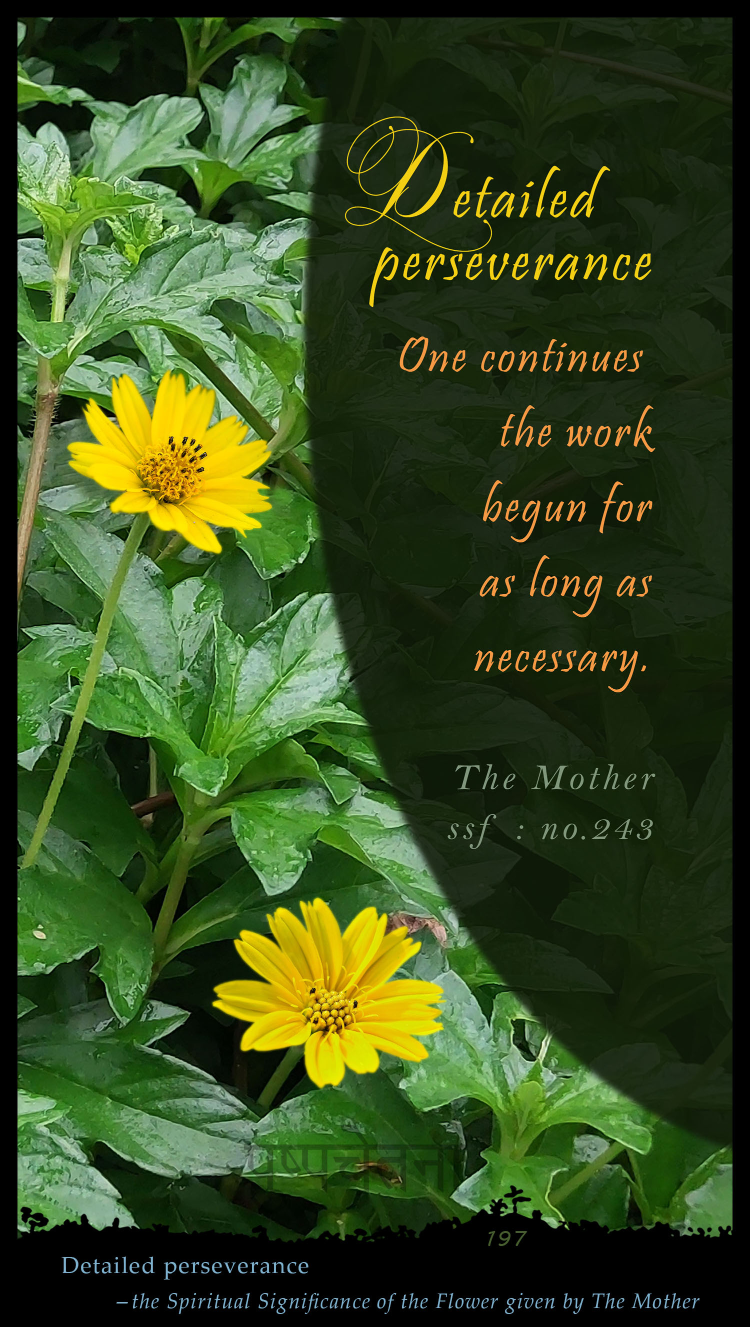 Detailed Perseverance